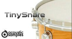 TinySnare