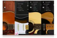 AS Guitar Collection