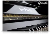 B-PIAN