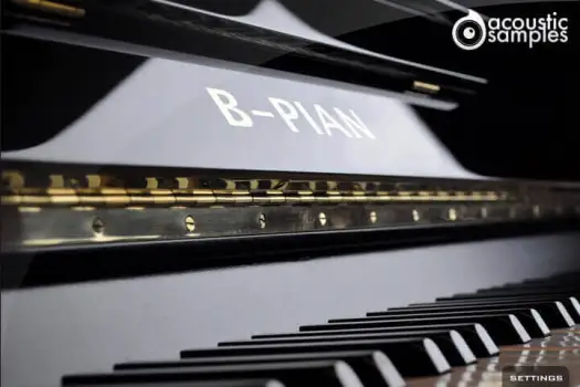 B-PIAN