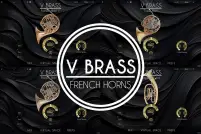 VBrass French Horns