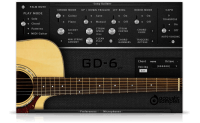 GD-6 Acoustic Guitar