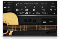 GD-6 Acoustic Guitar