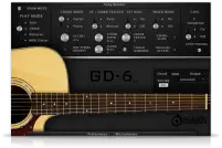 GD-6 Acoustic Guitar