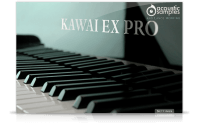 KAWAI-EX PRO