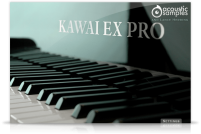 KAWAI-EX PRO