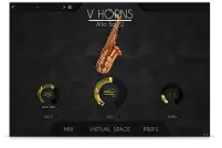 VHorns Alto Saxophones