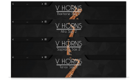 VHorns Saxophones