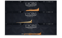 VHorns Brass Section