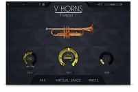 VHorns Trumpet