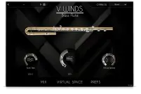 VWinds Bass Flute