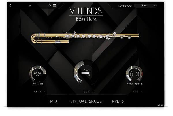 VWinds Bass Flute