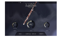 VWinds Bassoon