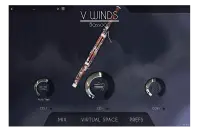 VWinds Bassoon