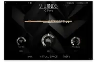VWinds Flute