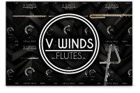 VWinds Flutes