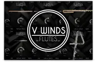 VWinds Flutes