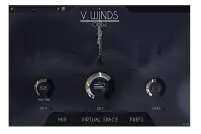 VWinds Oboe