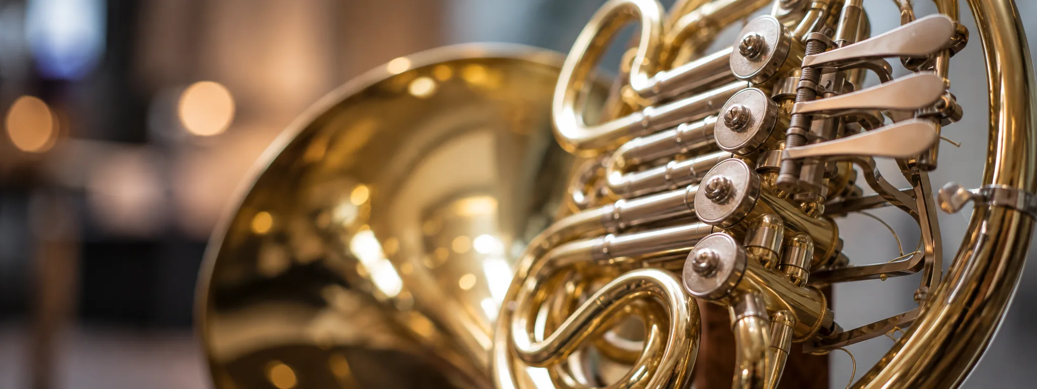 VBrass French Horns