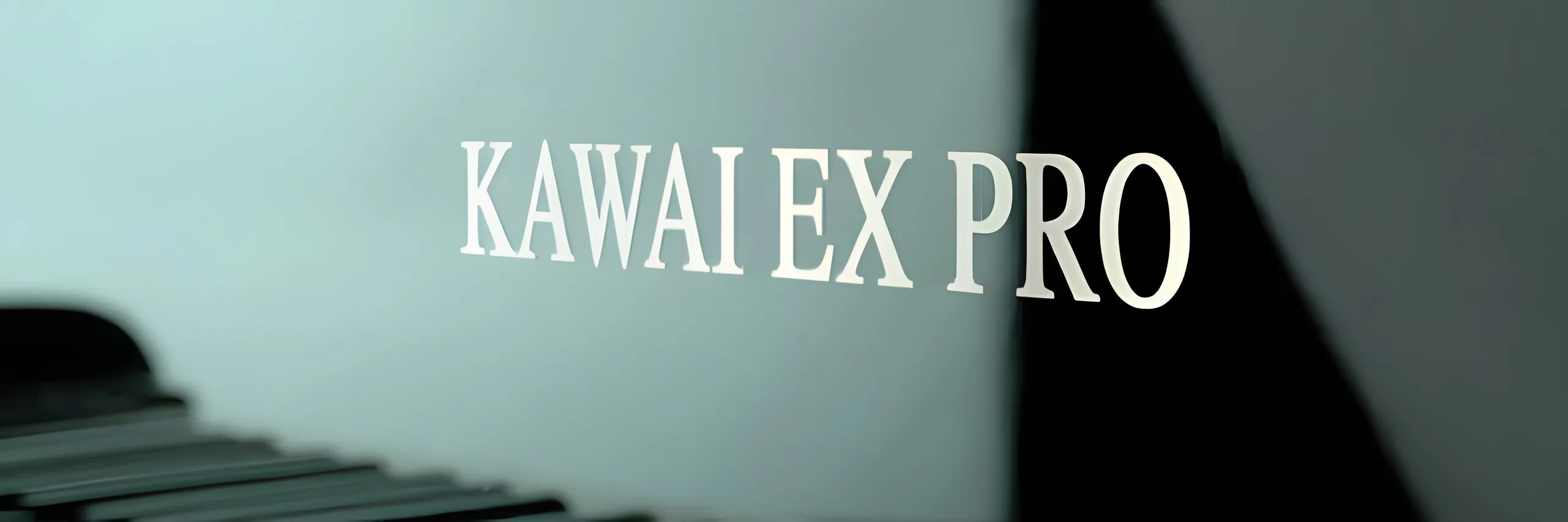 KAWAI-EX PRO