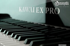 Kawai-EX Pro