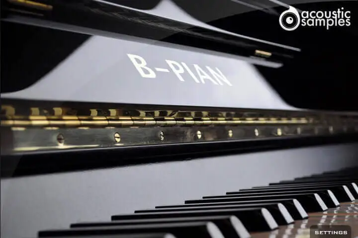 B-PIAN