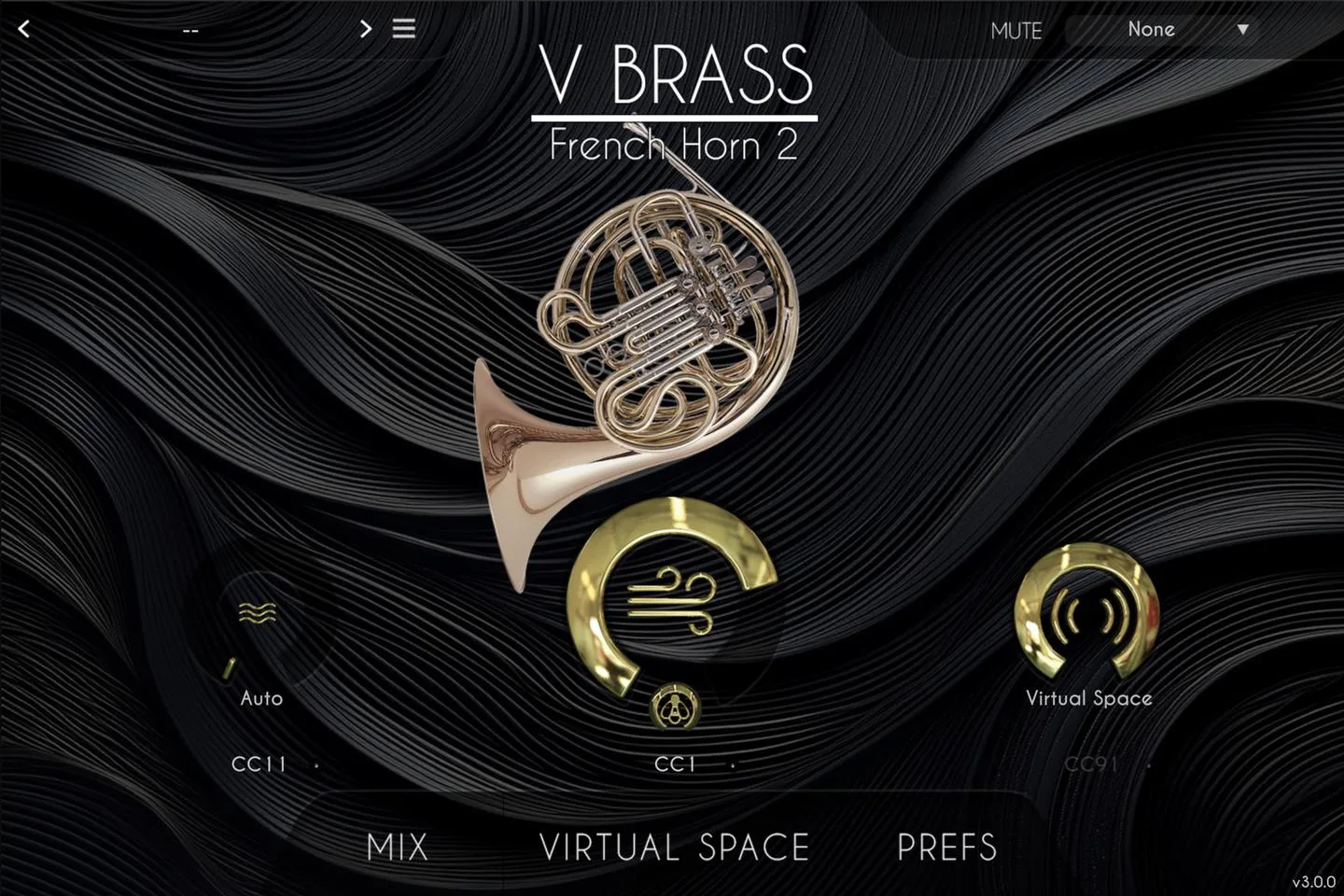 French Horn 2